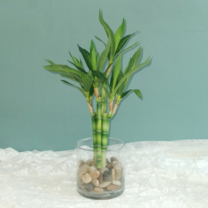Desk Setup Plants - Neue 40 cm rFtificial Lucky Bamboo