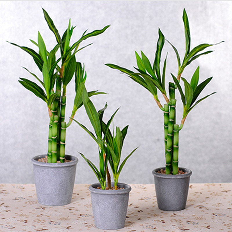 Neue 40 cm rFtificial Lucky Ba – Desk Setup Plants Bewertung und Preis