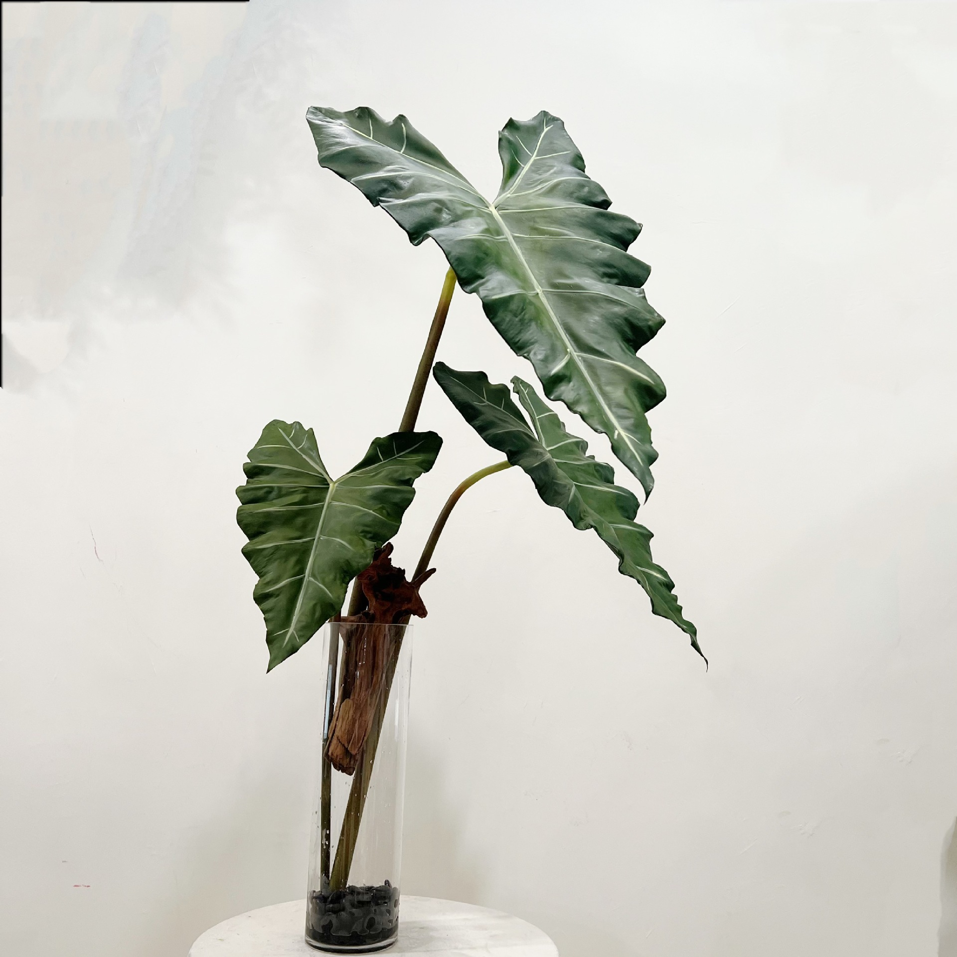 Simulierte lange PU-Handgefühl – Desk Setup Plants Bewertung und Preis