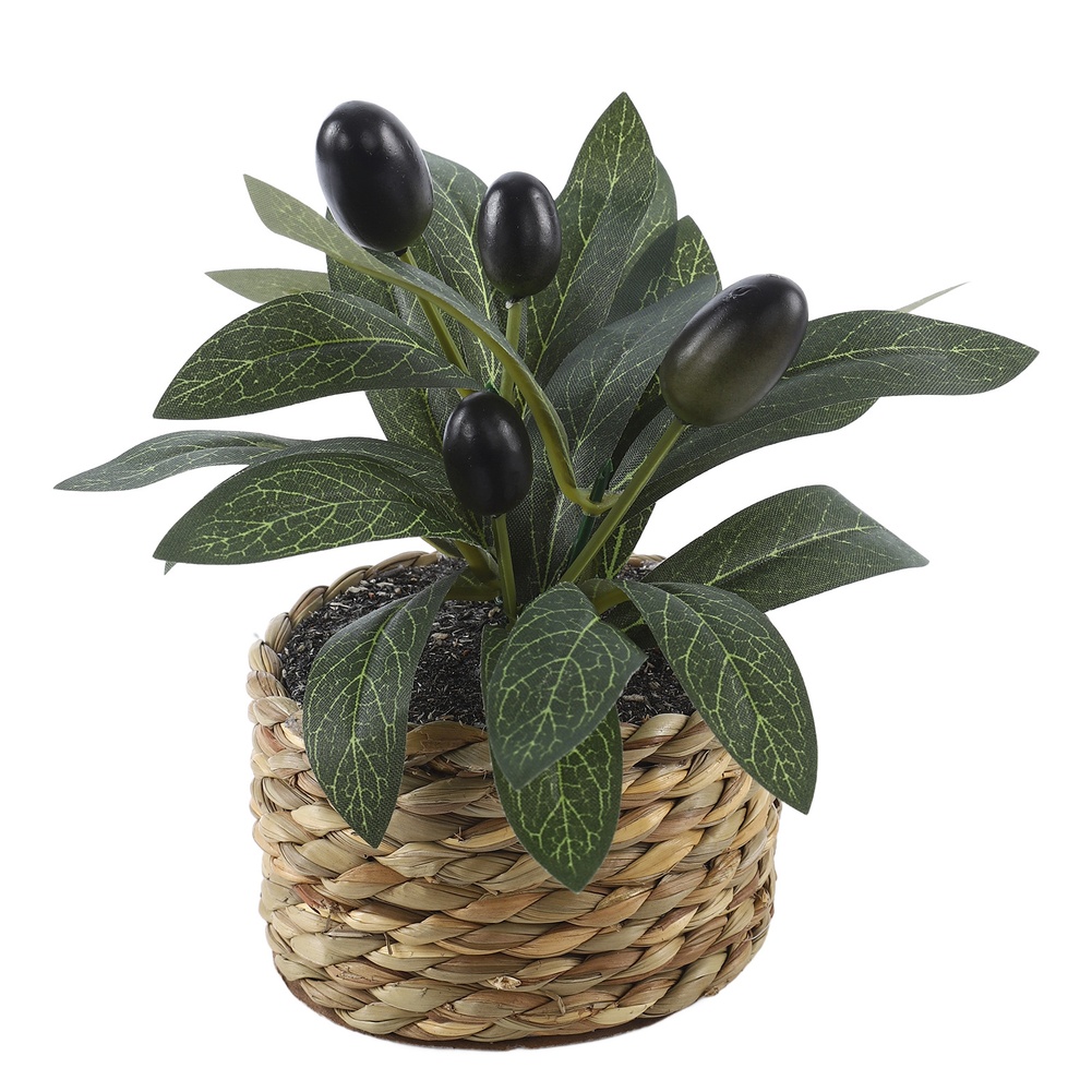 Künstliche Pflanzen Taschen-Ol – Desk Setup Plants Bewertung und Preis